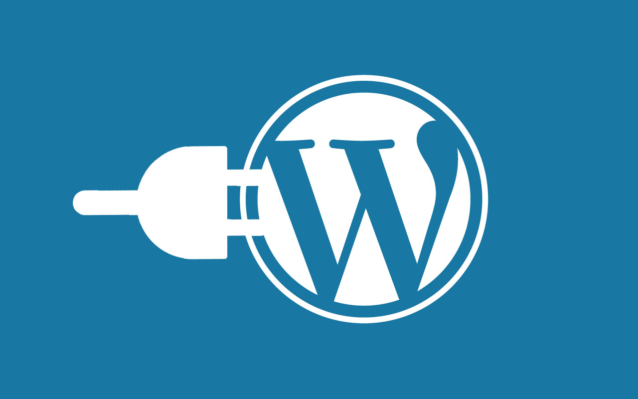 Bad WordPress plugins can cause your WordPress site speed to slow down.